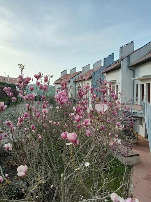Terraza Y Piscina Con Vistas Espectaculares Al Mar Parking Cubierto Apartman San Vicente de la Barquera Kültér fotó
